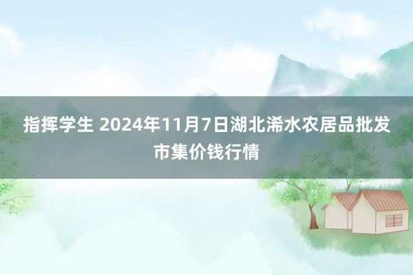 指挥学生 2024年11月7日湖北浠水农居品批发市集价钱行情