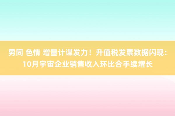 男同 色情 增量计谋发力！升值税发票数据闪现：10月宇宙企业销售收入环比合手续增长
