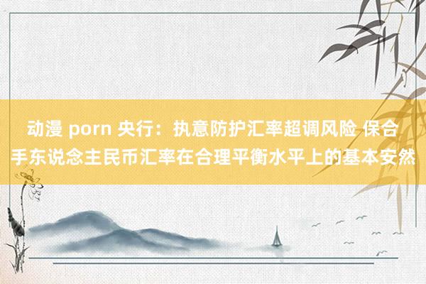 动漫 porn 央行：执意防护汇率超调风险 保合手东说念主民币汇率在合理平衡水平上的基本安然