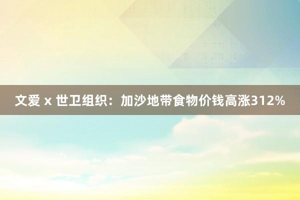 文爱 x 世卫组织：加沙地带食物价钱高涨312%