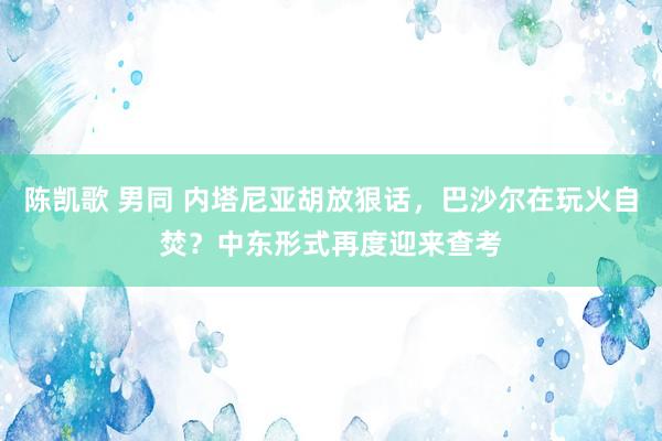 陈凯歌 男同 内塔尼亚胡放狠话，巴沙尔在玩火自焚？中东形式再度迎来查考