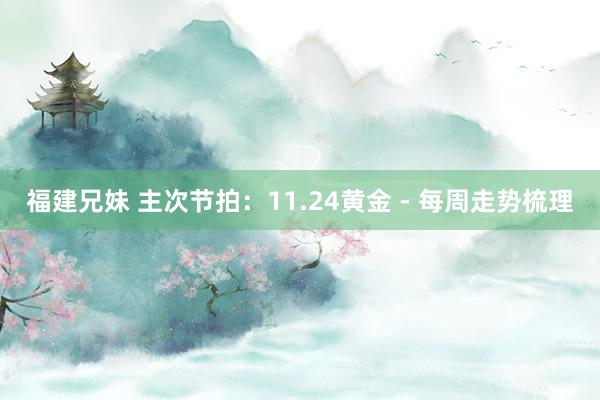 福建兄妹 主次节拍：11.24黄金 - 每周走势梳理