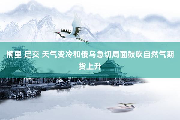 楠里 足交 天气变冷和俄乌急切局面鼓吹自然气期货上升