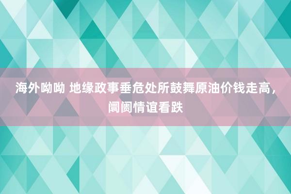 海外呦呦 地缘政事垂危处所鼓舞原油价钱走高，阛阓情谊看跌