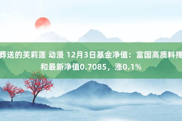 葬送的芙莉莲 动漫 12月3日基金净值：富国高质料搀和最新净值0.7085，涨0.1%