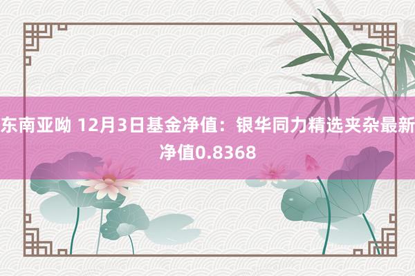 东南亚呦 12月3日基金净值：银华同力精选夹杂最新净值0.8368
