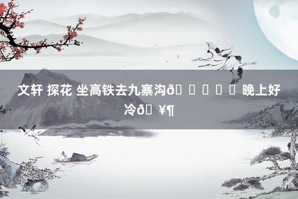 文轩 探花 坐高铁去九寨沟🚄❄️晚上好冷🥶