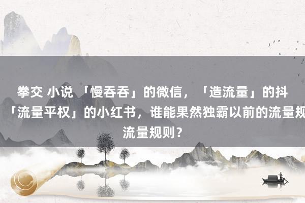 拳交 小说 「慢吞吞」的微信，「造流量」的抖音，「流量平权」的小红书，谁能果然独霸以前的流量规则？
