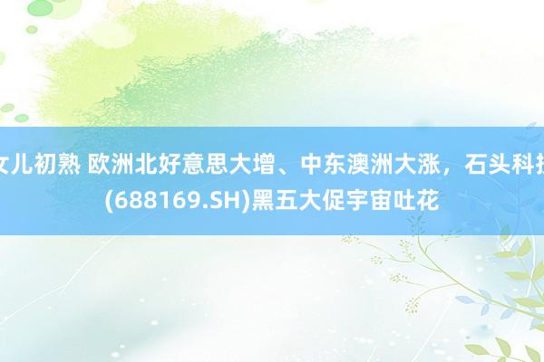 女儿初熟 欧洲北好意思大增、中东澳洲大涨，石头科技(688169.SH)黑五大促宇宙吐花