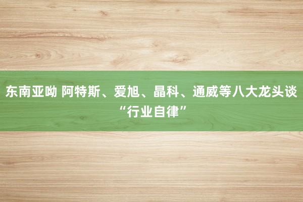东南亚呦 阿特斯、爱旭、晶科、通威等八大龙头谈“行业自律”