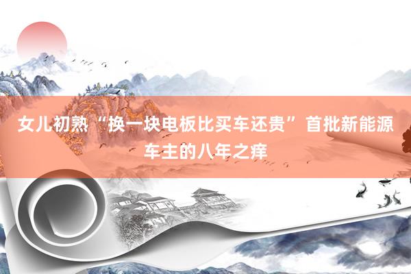 女儿初熟 “换一块电板比买车还贵” 首批新能源车主的八年之痒