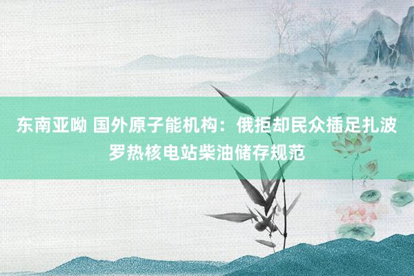 东南亚呦 国外原子能机构：俄拒却民众插足扎波罗热核电站柴油储存规范