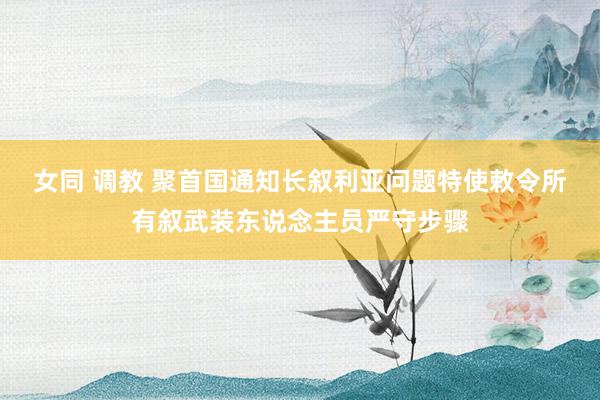 女同 调教 聚首国通知长叙利亚问题特使敕令所有叙武装东说念主员严守步骤