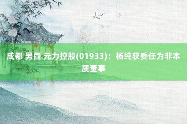 成都 男同 元力控股(01933)：杨纯获委任为非本质董事