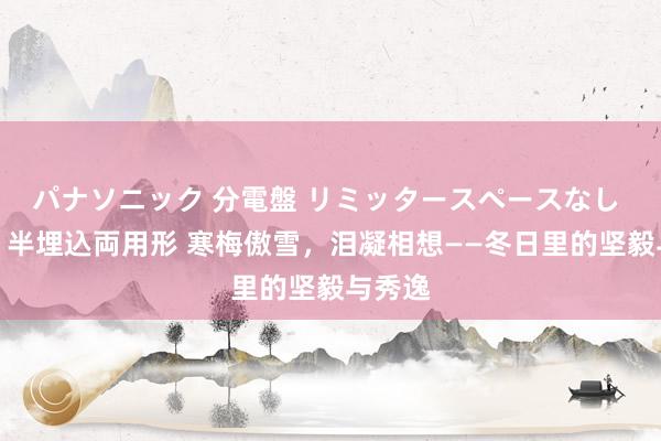 パナソニック 分電盤 リミッタースペースなし 露出・半埋込両用形 寒梅傲雪，泪凝相想——冬日里的坚毅与秀逸