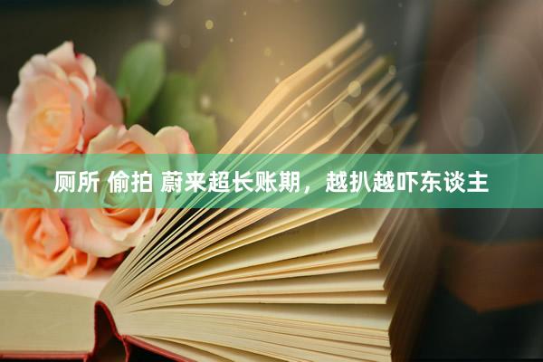 厕所 偷拍 蔚来超长账期，越扒越吓东谈主