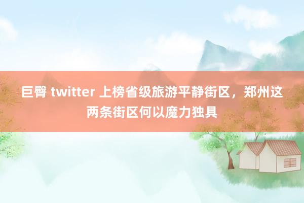 巨臀 twitter 上榜省级旅游平静街区，郑州这两条街区何以魔力独具