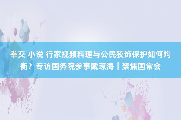 拳交 小说 行家视频料理与公民狡饰保护如何均衡？专访国务院参事戴琼海｜聚焦国常会