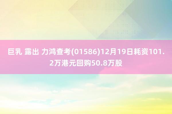 巨乳 露出 力鸿查考(01586)12月19日耗资101.2万港元回购50.8万股