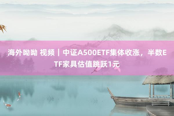 海外呦呦 视频｜中证A500ETF集体收涨，半数ETF家具估值跳跃1元