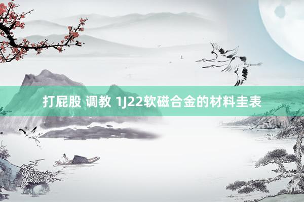 打屁股 调教 1J22软磁合金的材料圭表