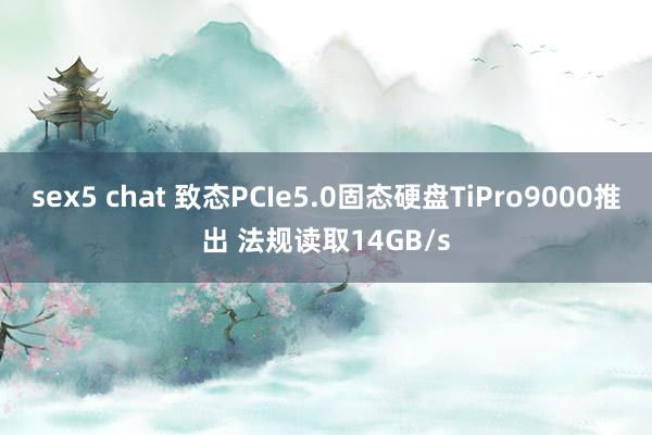 sex5 chat 致态PCIe5.0固态硬盘TiPro9000推出 法规读取14GB/s