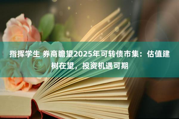 指挥学生 券商瞻望2025年可转债市集：估值建树在望，投资机遇可期