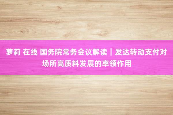 萝莉 在线 国务院常务会议解读｜发达转动支付对场所高质料发展的率领作用