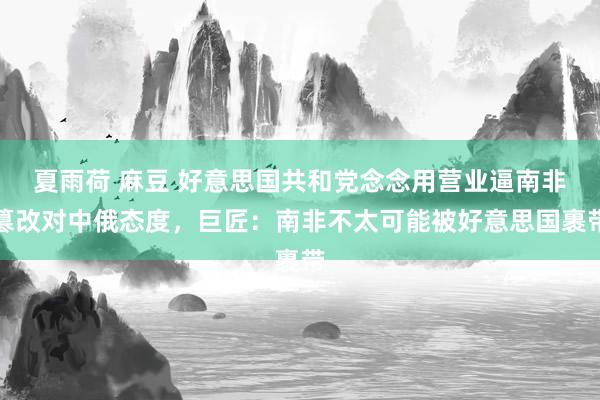 夏雨荷 麻豆 好意思国共和党念念用营业逼南非篡改对中俄态度，巨匠：南非不太可能被好意思国裹带