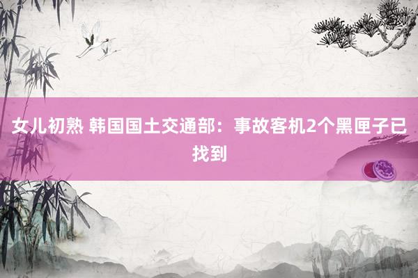女儿初熟 韩国国土交通部：事故客机2个黑匣子已找到