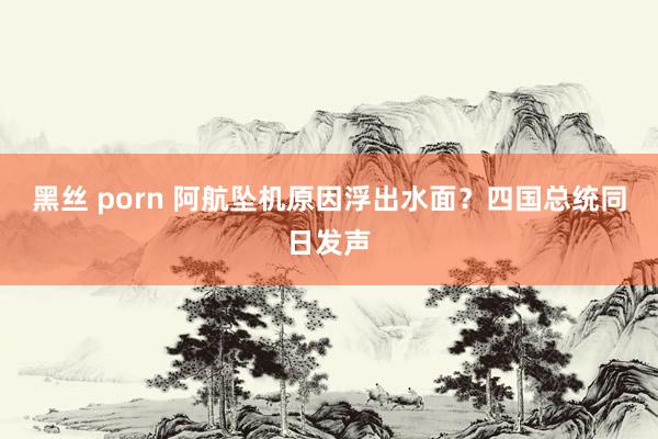黑丝 porn 阿航坠机原因浮出水面？四国总统同日发声