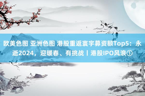 欧美色图 亚洲色图 港股重返寰宇募资额Top5：永逝2024，迎暖春、有挑战丨港股IPO风浪①