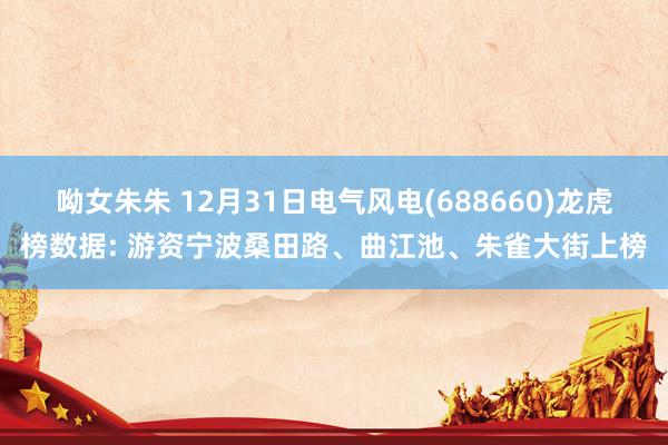 呦女朱朱 12月31日电气风电(688660)龙虎榜数据: 游资宁波桑田路、曲江池、朱雀大街上榜
