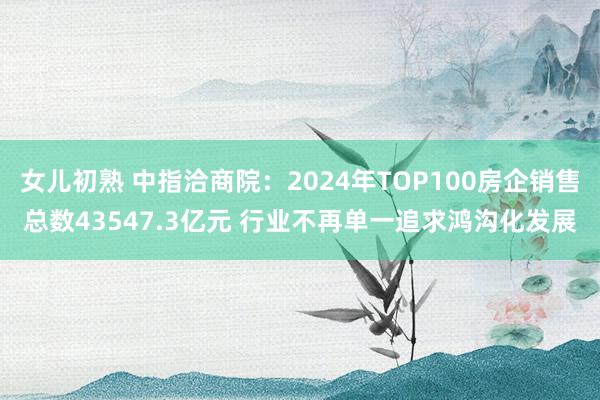 女儿初熟 中指洽商院：2024年TOP100房企销售总数43547.3亿元 行业不再单一追求鸿沟化发展