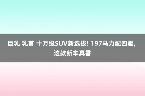 巨乳 乳首 十万级SUV新选拔! 197马力配四驱， 这款新车真香