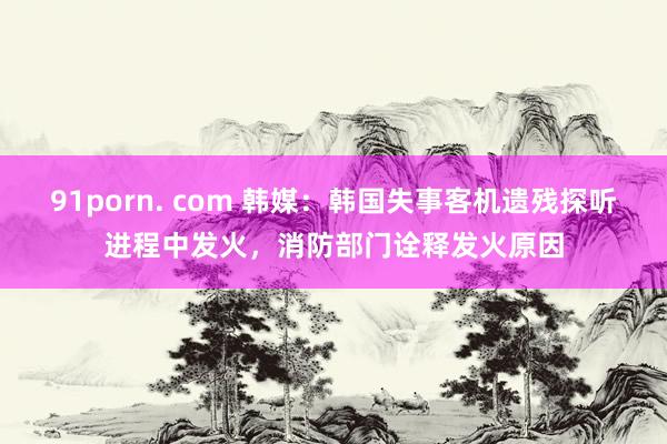 91porn. com 韩媒：韩国失事客机遗残探听进程中发火，消防部门诠释发火原因