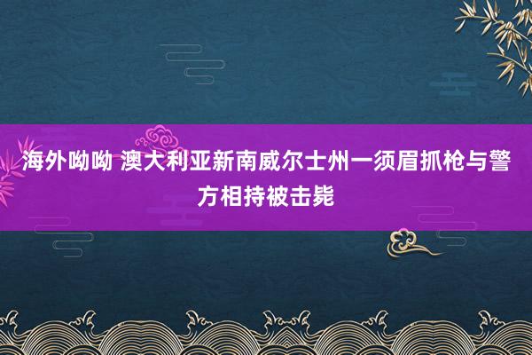 海外呦呦 澳大利亚新南威尔士州一须眉抓枪与警方相持被击毙