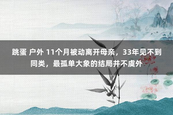 跳蛋 户外 11个月被动离开母亲，33年见不到同类，最孤单大象的结局并不虞外