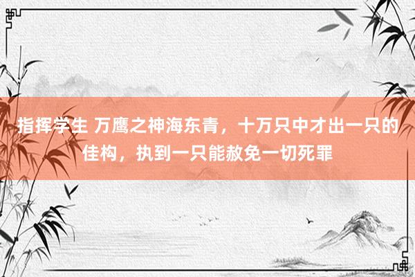 指挥学生 万鹰之神海东青，十万只中才出一只的佳构，执到一只能赦免一切死罪