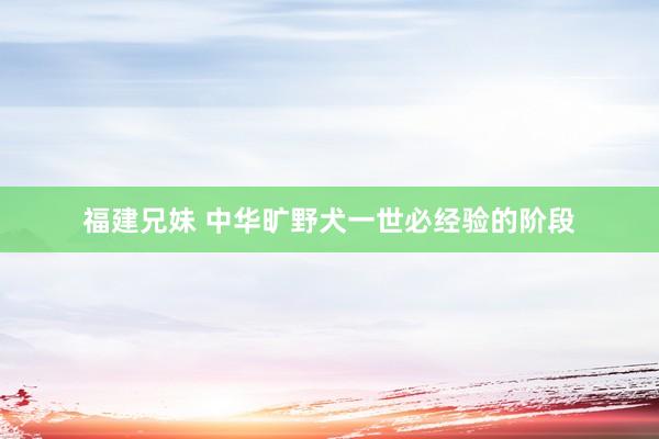 福建兄妹 中华旷野犬一世必经验的阶段