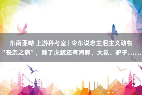 东南亚呦 上游科考室 | 令东说念主泪主义动物“丧亲之痛”，除了虎鲸还有海豚、大象、驴子……