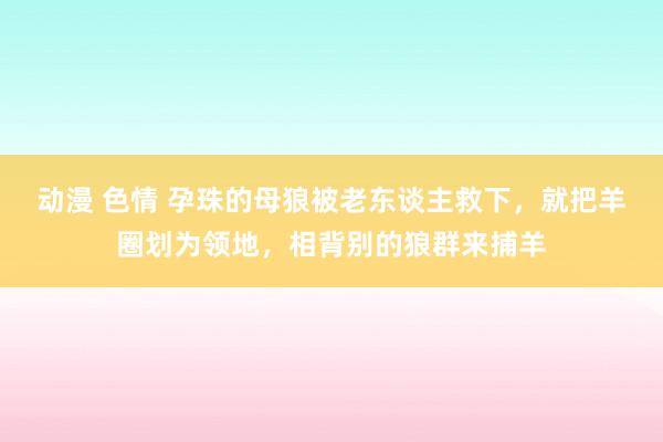 动漫 色情 孕珠的母狼被老东谈主救下，就把羊圈划为领地，相背别的狼群来捕羊