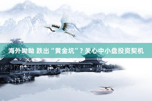 海外呦呦 跌出“黄金坑”? 关心中小盘投资契机