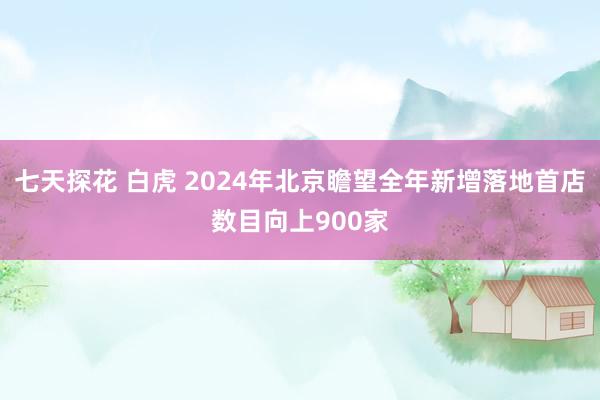 七天探花 白虎 2024年北京瞻望全年新增落地首店数目向上900家