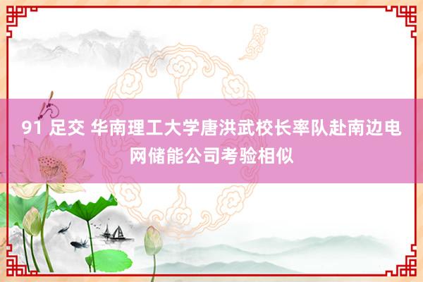 91 足交 华南理工大学唐洪武校长率队赴南边电网储能公司考验相似