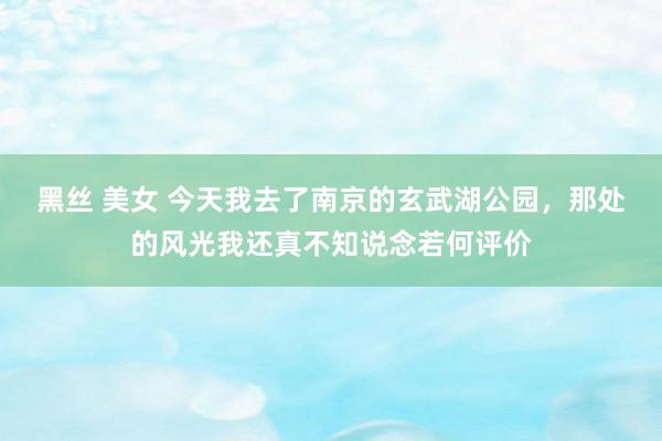黑丝 美女 今天我去了南京的玄武湖公园，那处的风光我还真不知说念若何评价