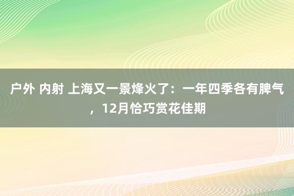 户外 内射 上海又一景烽火了：一年四季各有脾气，12月恰巧赏花佳期