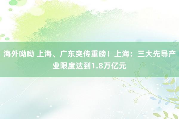 海外呦呦 上海、广东突传重磅！上海：三大先导产业限度达到1.8万亿元