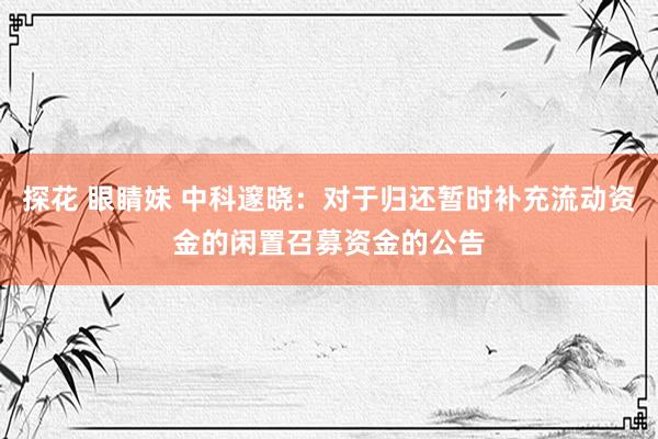 探花 眼睛妹 中科邃晓：对于归还暂时补充流动资金的闲置召募资金的公告