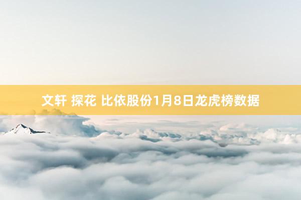 文轩 探花 比依股份1月8日龙虎榜数据